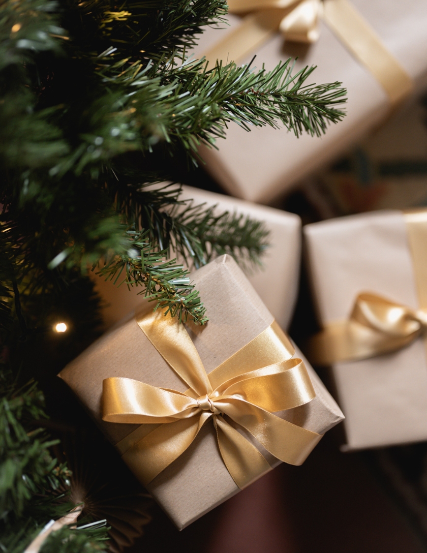 Festive Shop and Spa Day