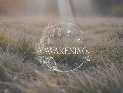 Homepage Offers (15)