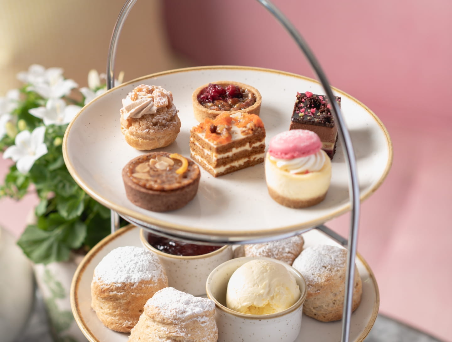 Homepage Offers (33)